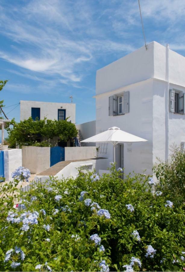 شقة Apollonion House أبولونيا المظهر الخارجي الصورة